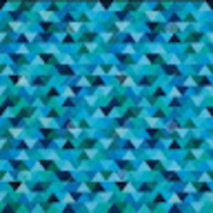 Meet your Posher, Laishla